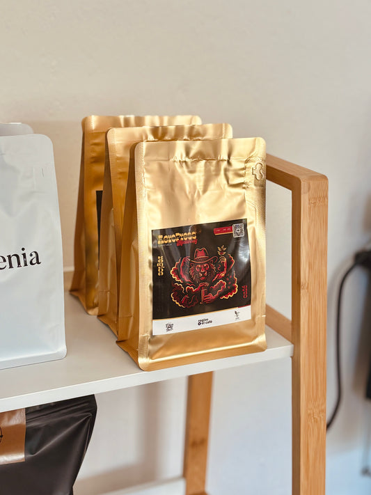 Café de Competencia Regional de Aeropress Regios x el café