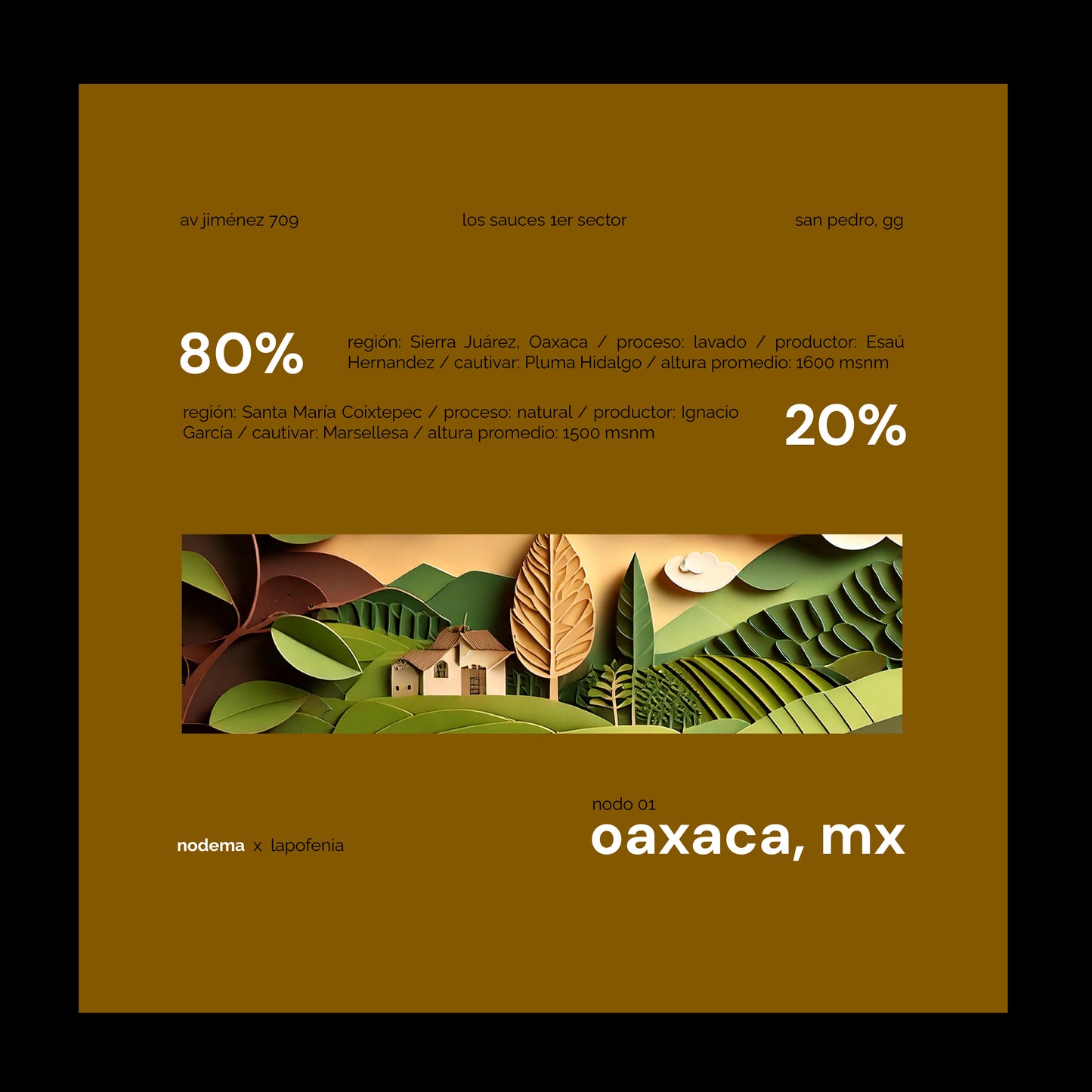 Nodema, Nodo 01: Oaxaca