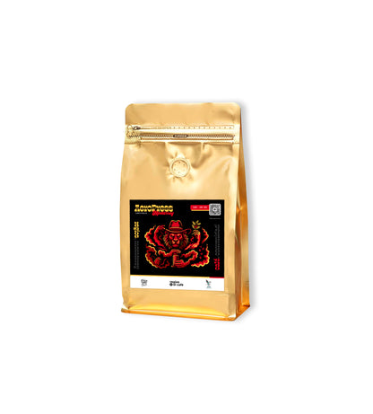 Café de Competencia Regional de Aeropress Regios x el café