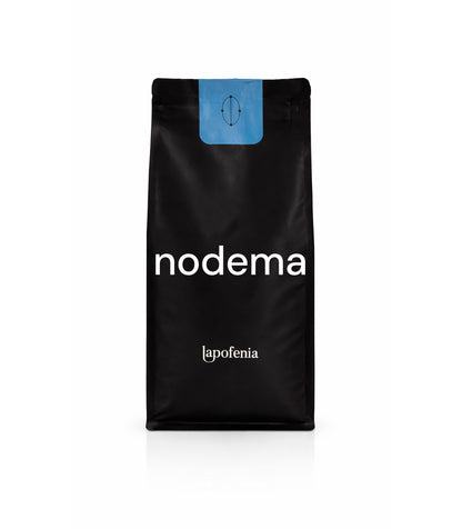 Nodema, Nodo 02: Puebla