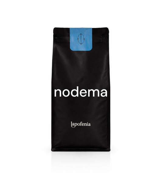 Nodema, Nodo 02: Puebla