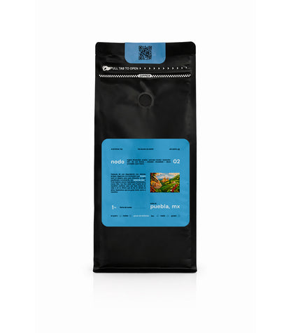 Nodema, Nodo 02: Puebla